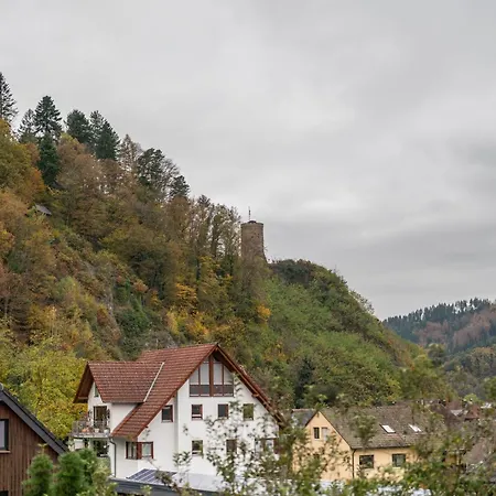 Burgblick Hausach