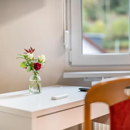 Burgblick Appartement *